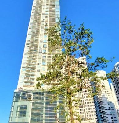 Ph white tower